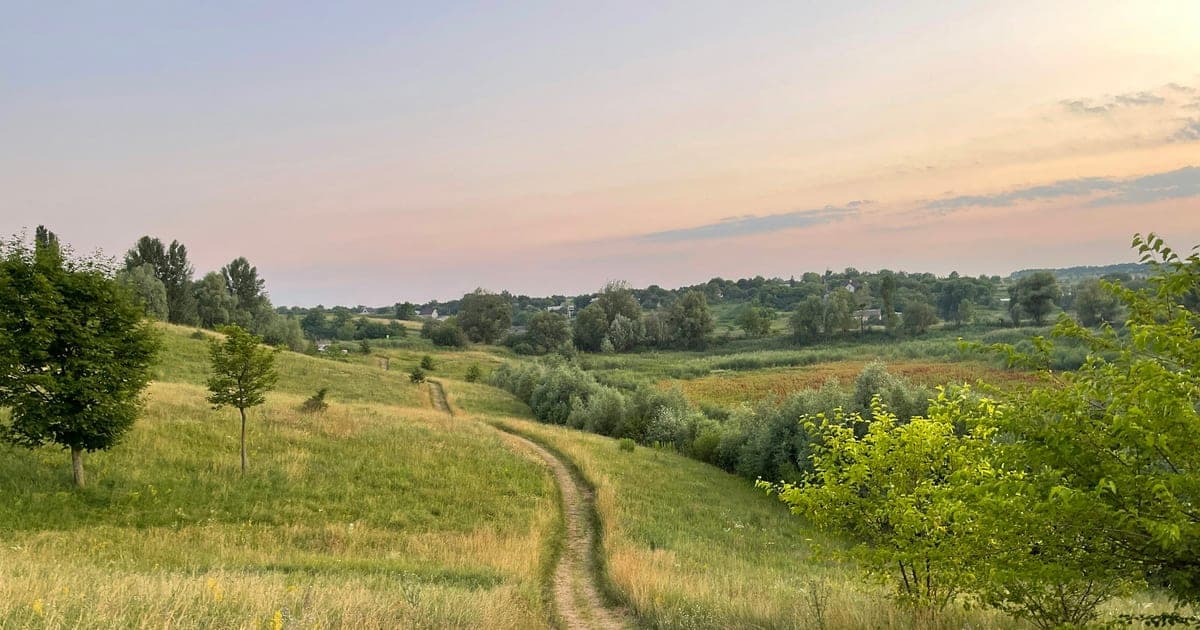 Road thru fields at the golden hour