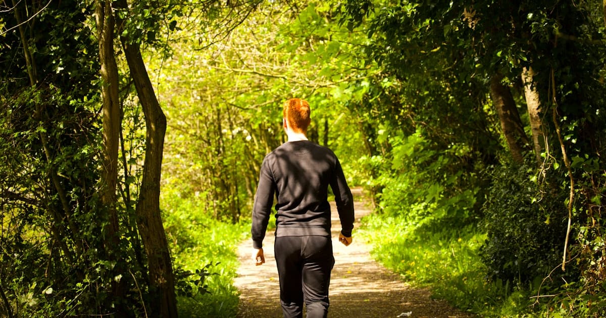 A person walking alone on a quiet path through a wooded forest